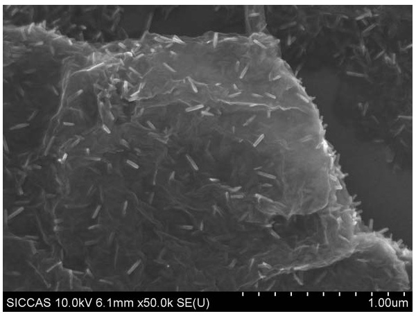 Nitrogen-doped graphene/tin oxide nano composite material and preparation method thereof