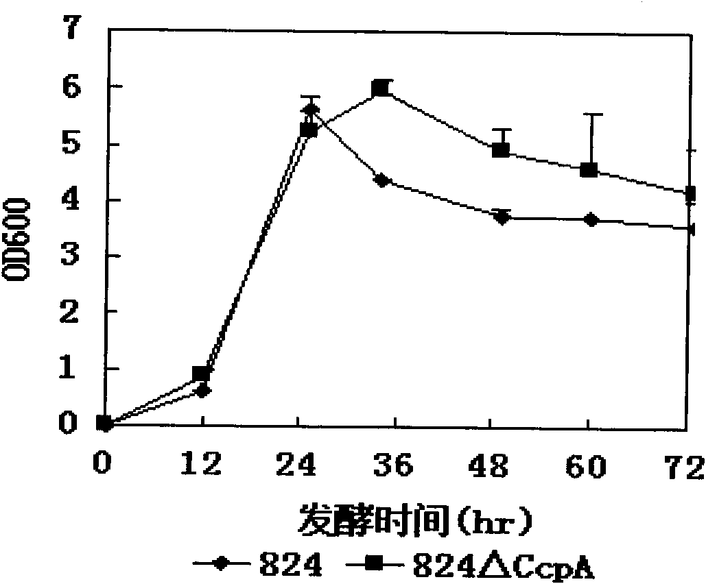 Method for eliminating glucose inhibition effect of clostridium acetobutylicum