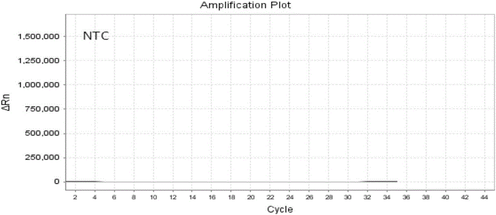 Nucleic acid, kit and method for detecting polymorphism of A118G locus of OPRM1 gene of human beings