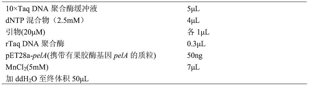 Thermally stabilized alkaline pectinase mutant and its coding gene and use