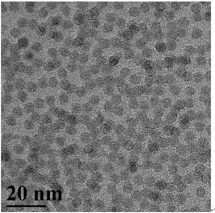 Method for preparing rare earth doped beta-NaYF4 upconversion nanocrystal with size of less than 8nm