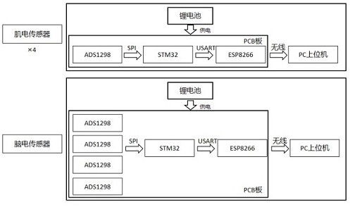 Quantitative evaluation method for two-way coupling information conduction path of human body and sensing system