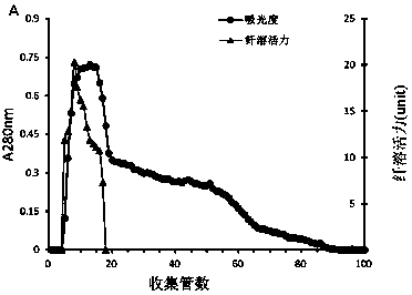 A kind of murine fibrinolytic enzyme and its application