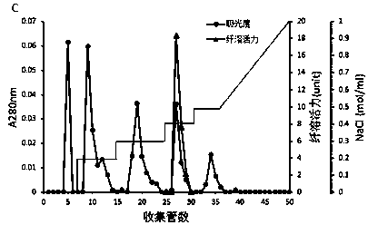 A kind of murine fibrinolytic enzyme and its application