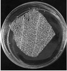 Bionic pre-vascularization material as well as preparation method and application thereof