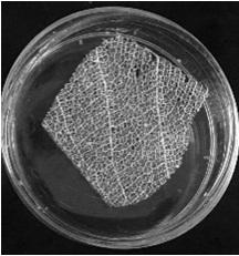 Bionic pre-vascularization material as well as preparation method and application thereof