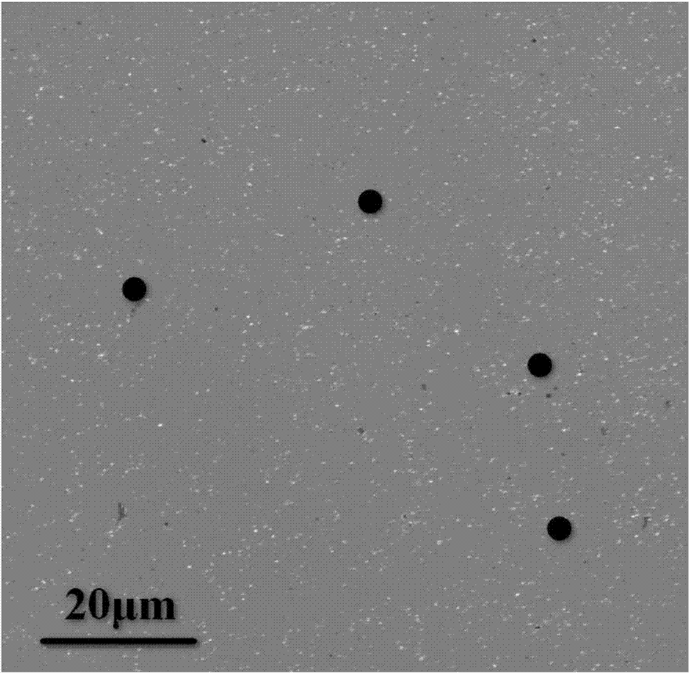 Preparation method of erbium-doped molybdenum disulfide film