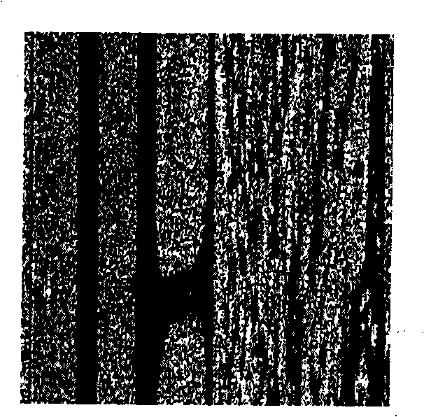 Self-adapting SAR image classification method based on local standard deviation