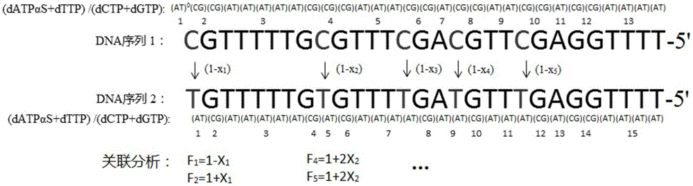 Method for quantitative determination on methylation by two-nucleotide synthesis pyrosequencing