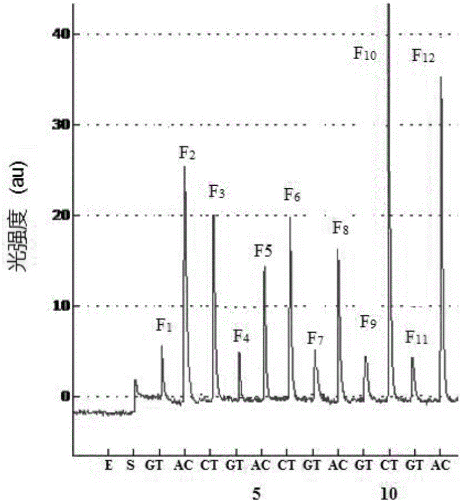 Method for quantitative determination on methylation by two-nucleotide synthesis pyrosequencing