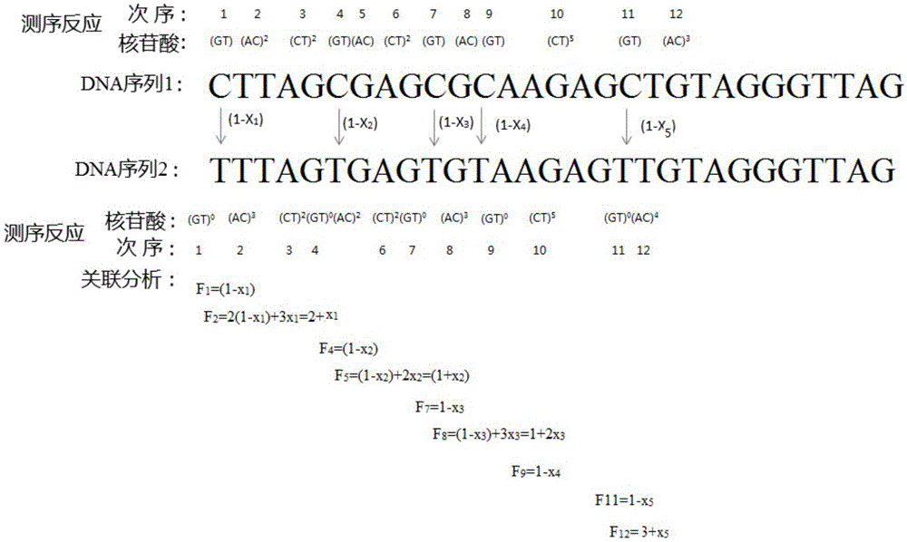 Method for quantitative determination on methylation by two-nucleotide synthesis pyrosequencing