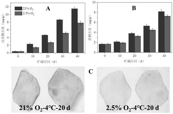 Anti-low temperature saccharification storage method of potato with gradient hypoxia synergistic gasification fumigation