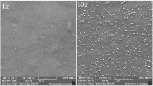 Regulation and control method for obtaining dispersed nano precipitated phase in FeCrAl alloy