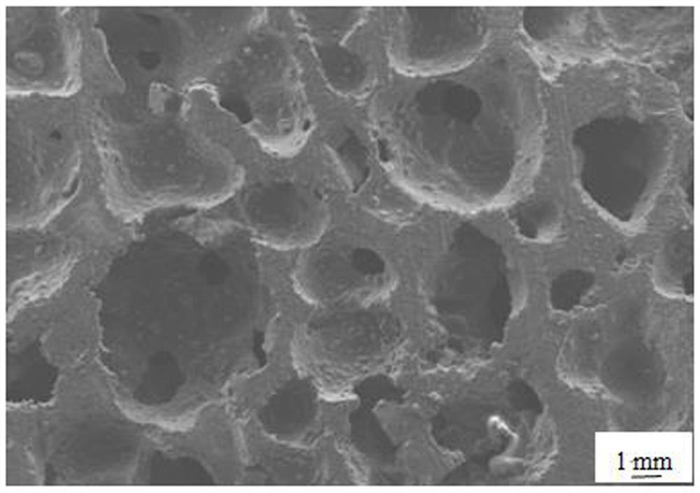 Boron carbide reinforced foamed aluminum composite material and preparation method thereof