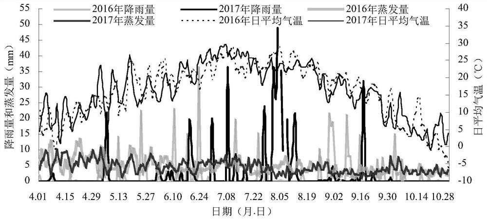 A high-efficiency control method of water and fertilizer for corn large ridge and double-row drip irrigation under plastic film in cold and semi-arid regions