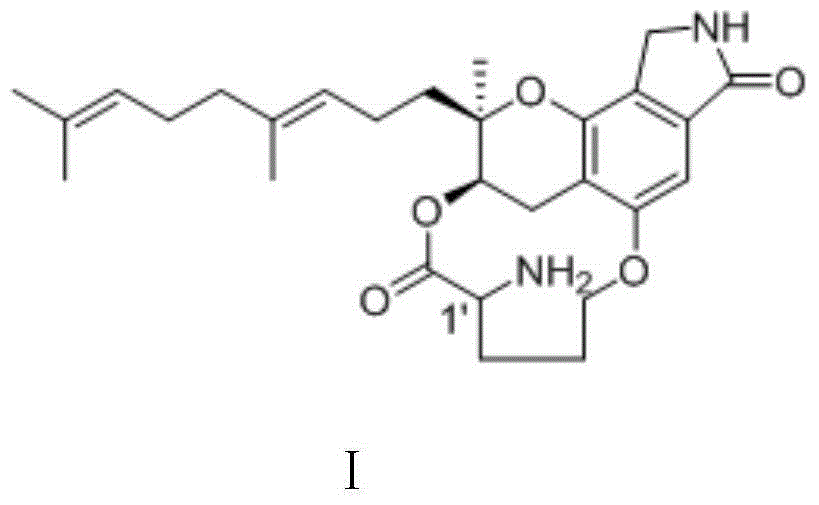 Pyran indole compounds as well as preparation method and application thereof