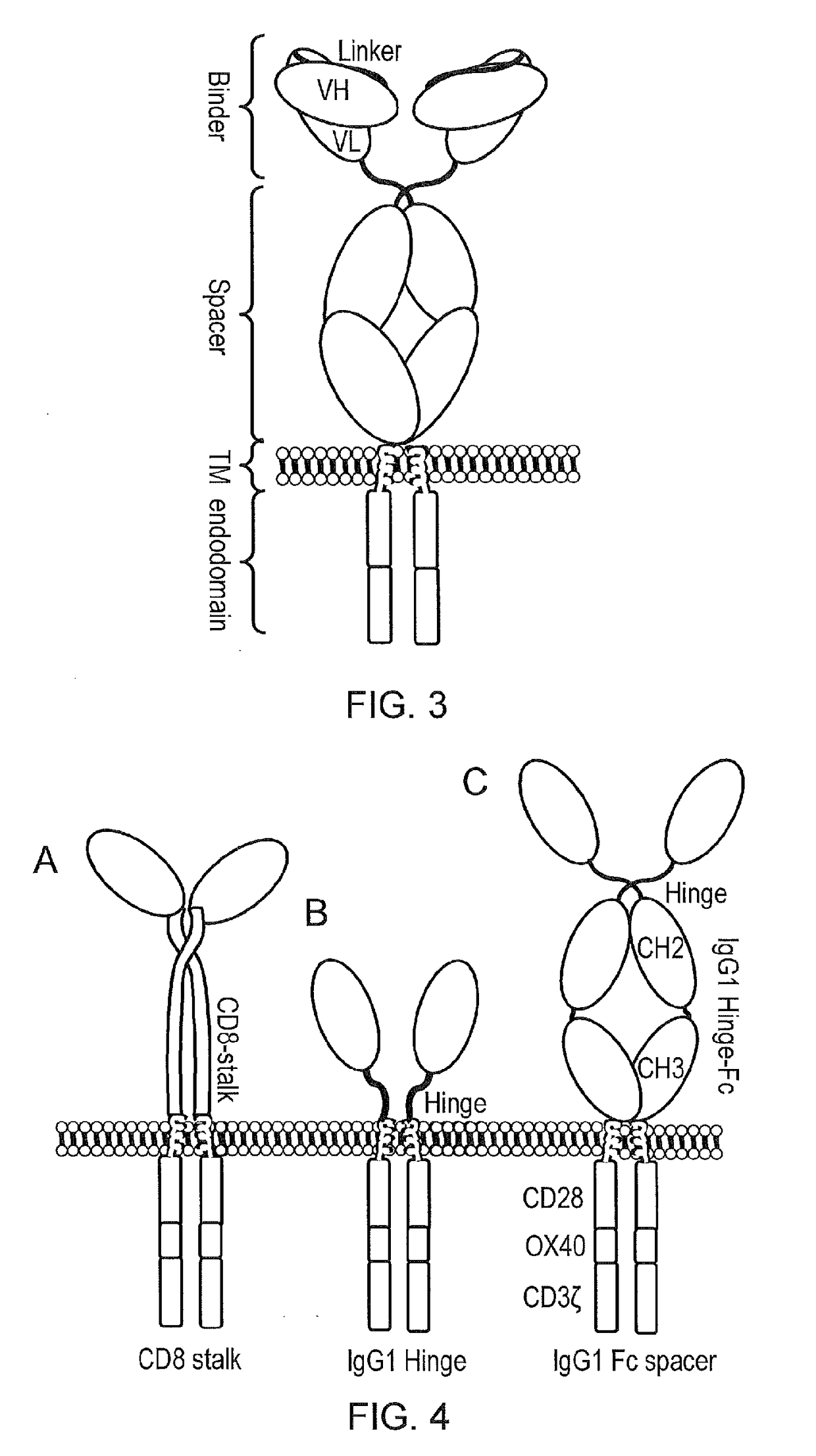 Ligand