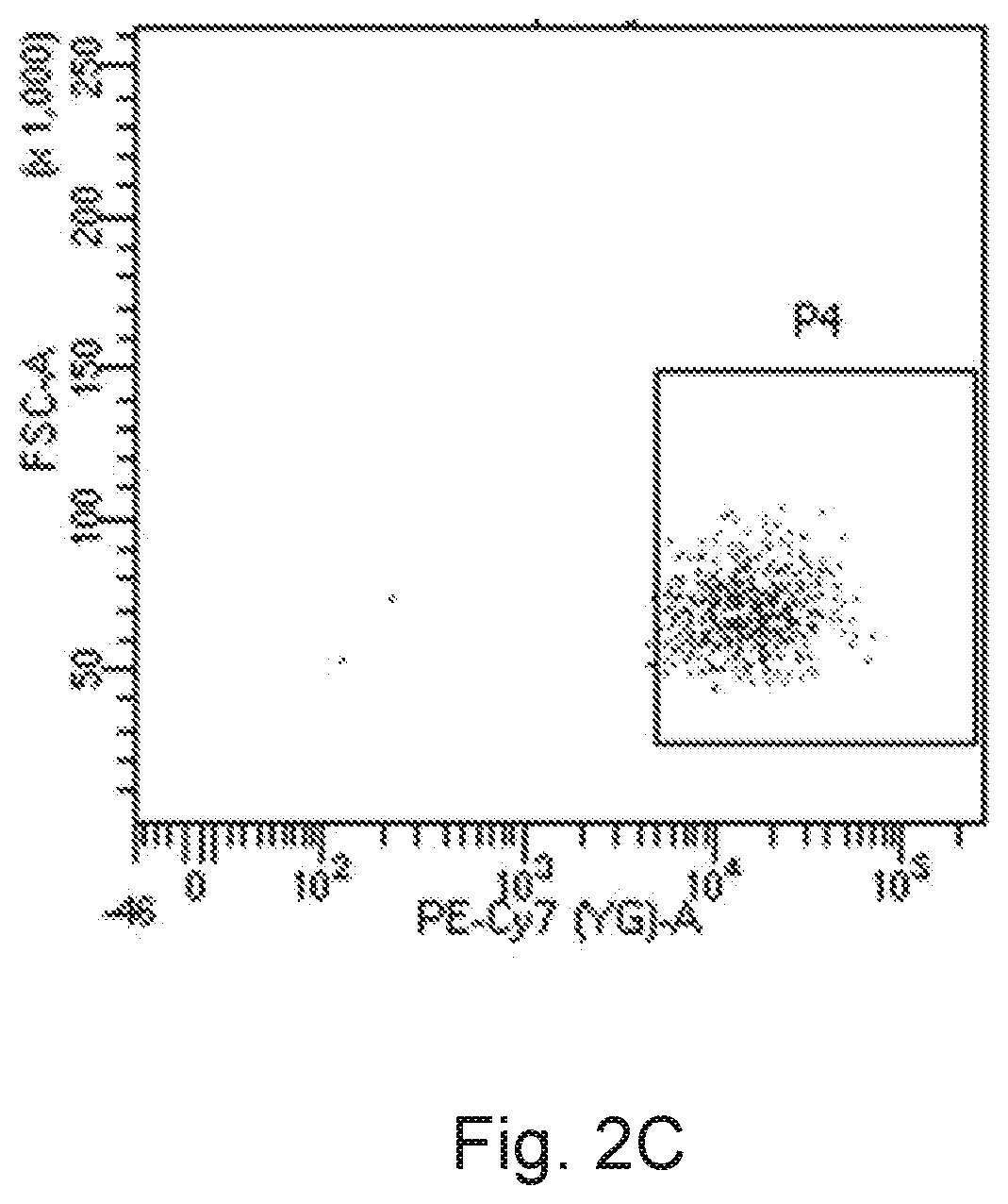 A novel cd16+ natural killer cell and a method of culturing cd16+ natural killer cell