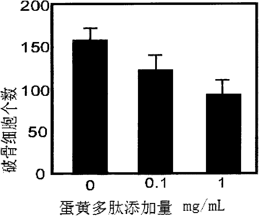 High-calcium liquid milk product and preparation method thereof