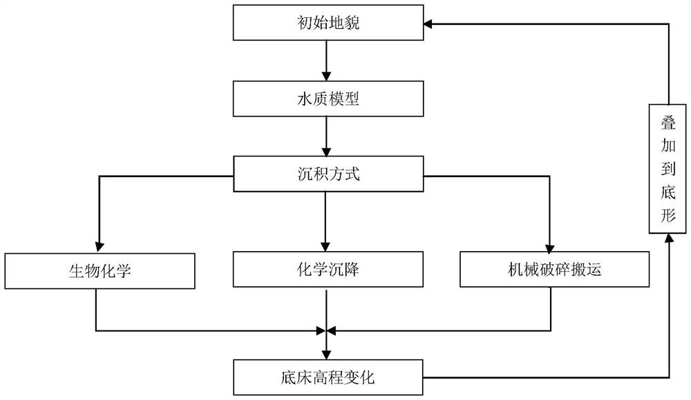 Numerical Simulation Method of Carbonate Sedimentation