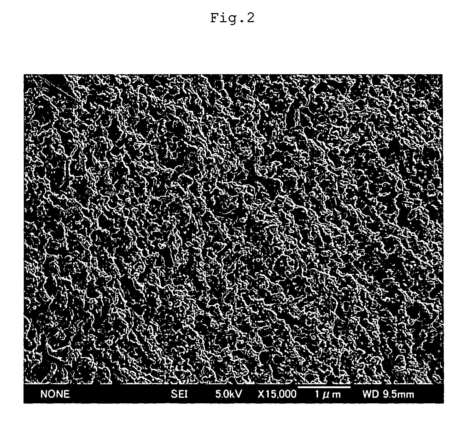 Collagen gel and process of producing the same