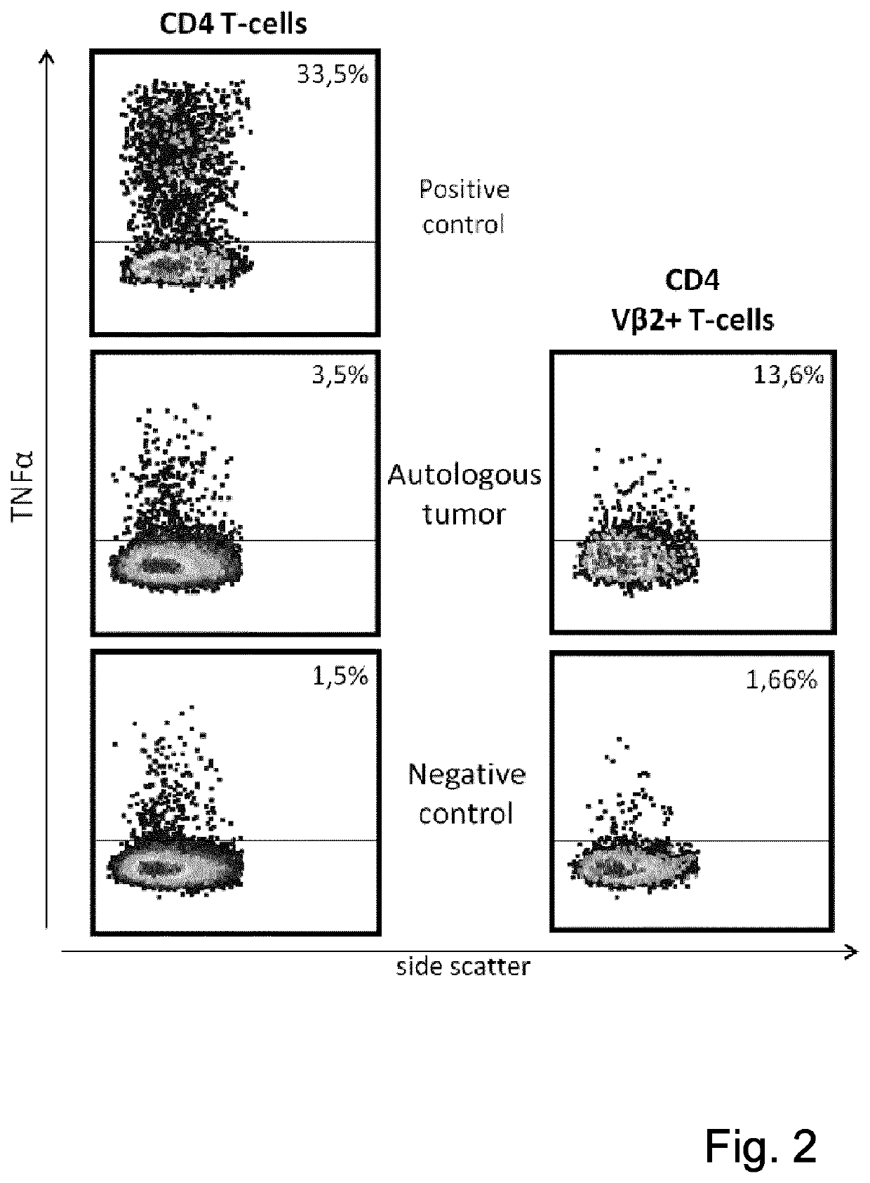 T-cell receptor sequences for active immunotherapy