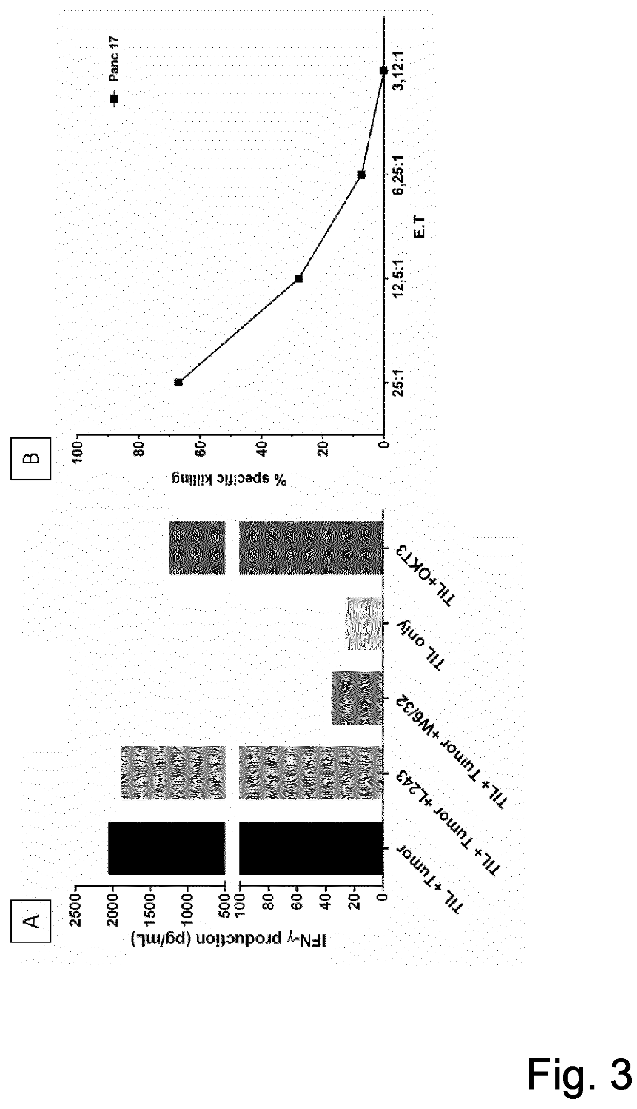 T-cell receptor sequences for active immunotherapy