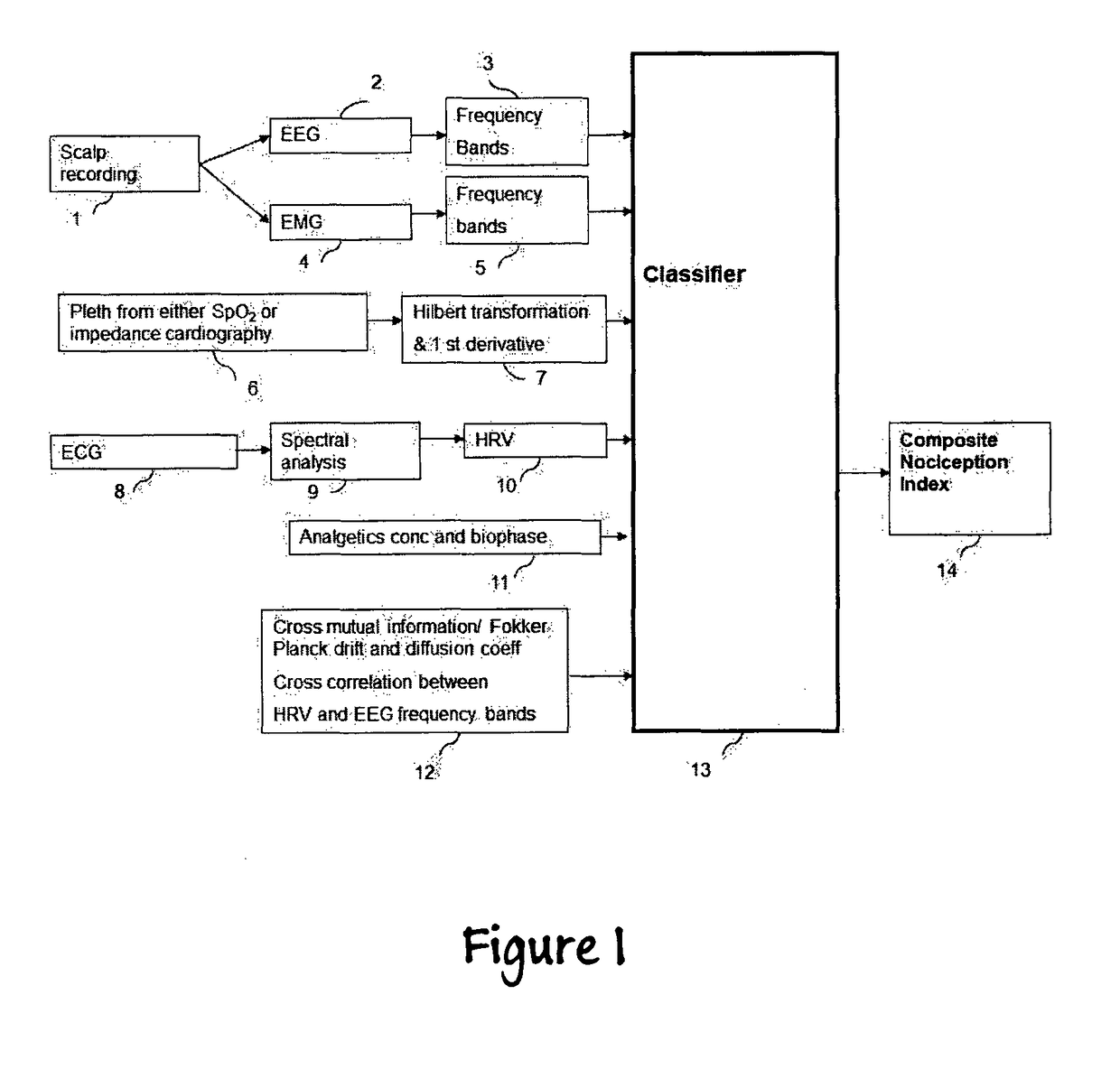 Apparatus for the Assessment of the Level of Pain and Nociception During General Anesthesia Using Electroencephalogram, Plethysmographic Impedance Cardiography, Heart Rate Variability and the Concentration or Biophase of the Analgesics