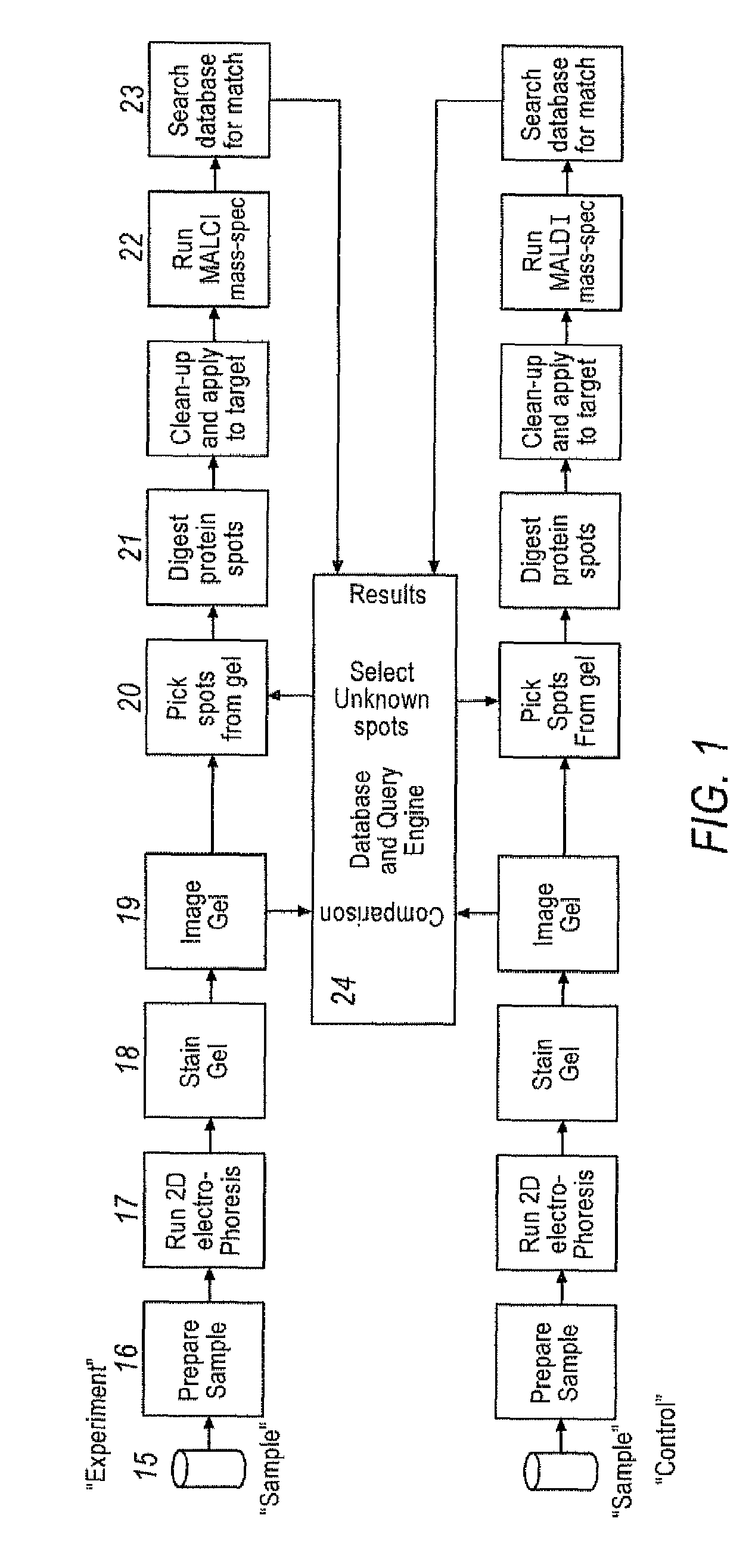 Method and apparatus for automated excision of samples from two-dimensional electrophoresis gels