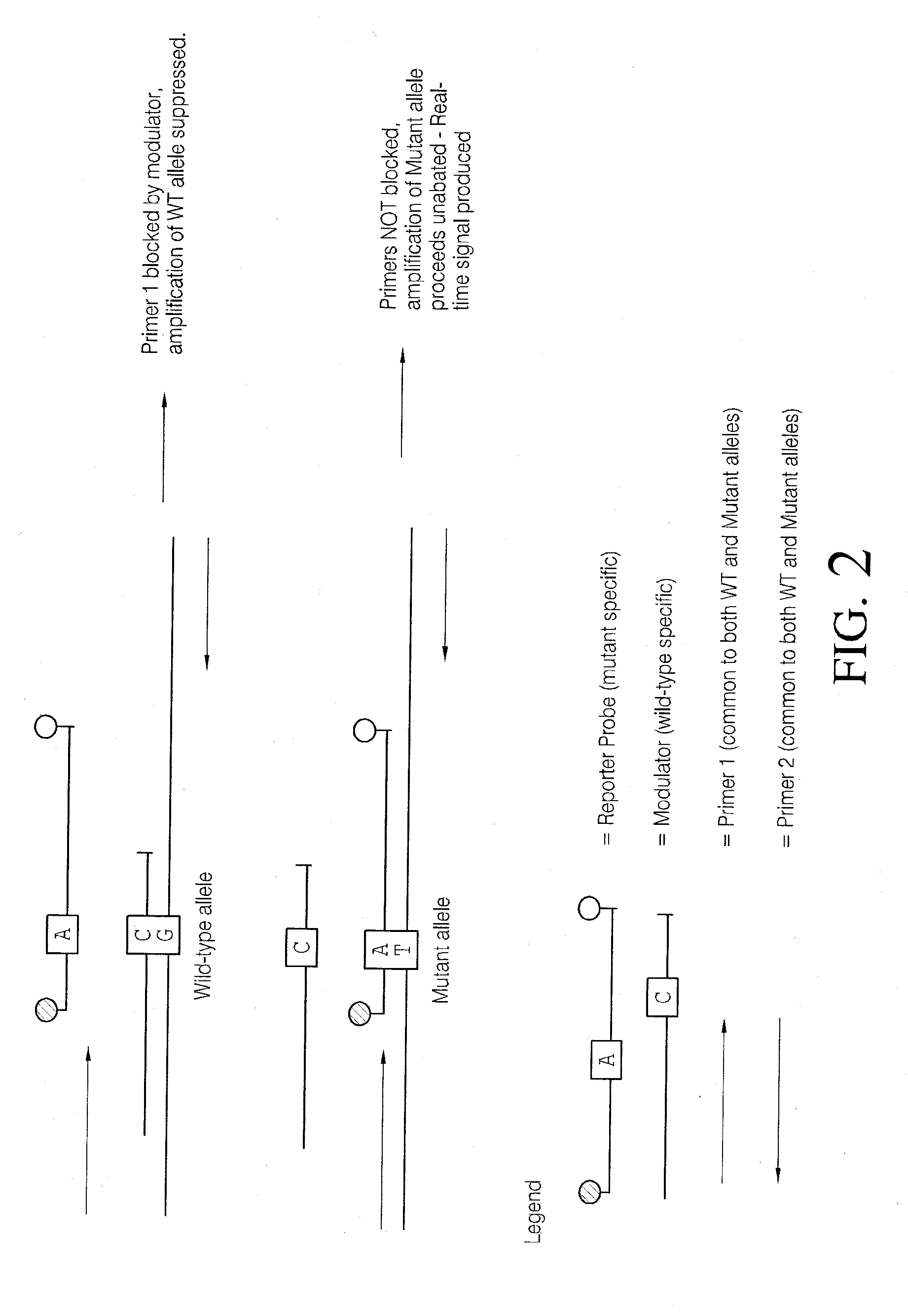 Methods and compositions for modulation of amplification efficiency