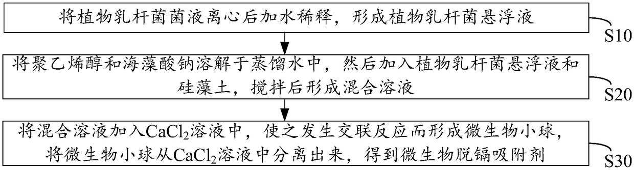 Preparation method of microbial cadmium removal absorbent and application of absorbent in cadmium removal of powder food