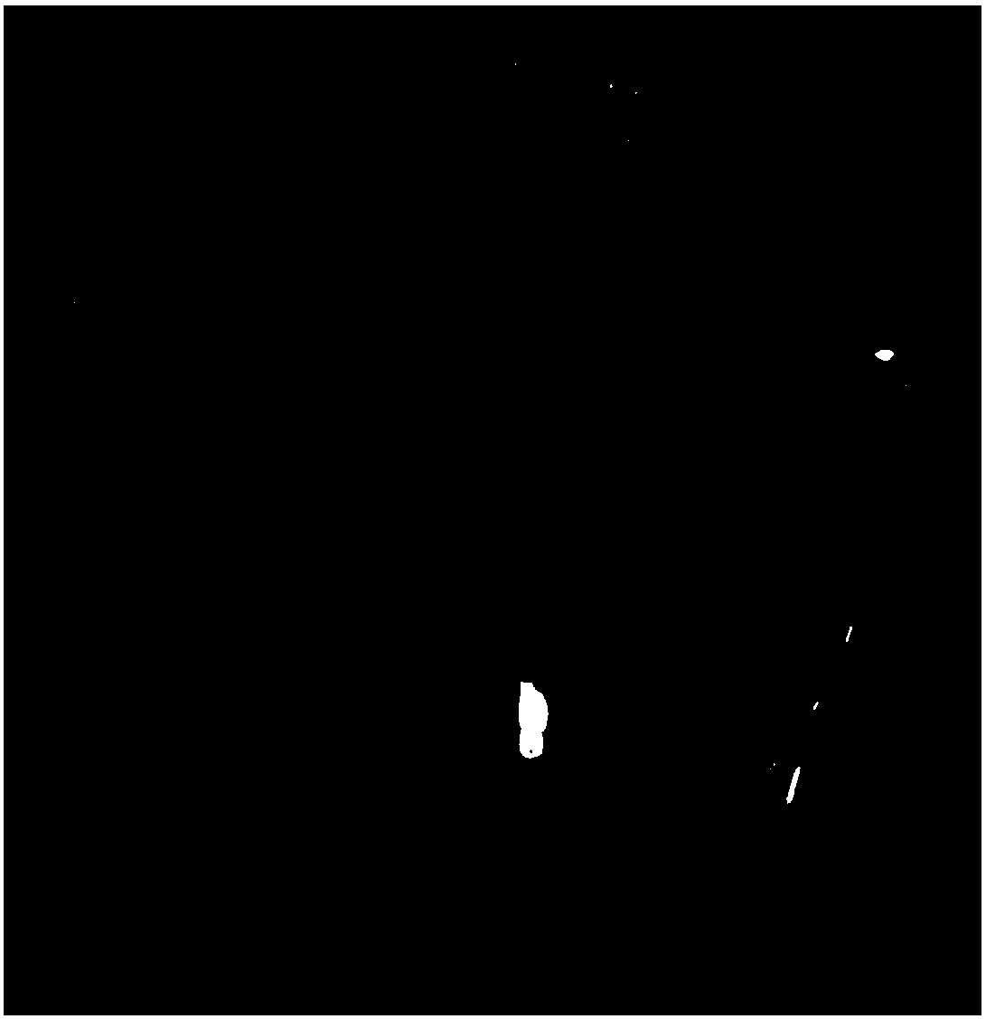 Preparation method of microbial cadmium removal absorbent and application of absorbent in cadmium removal of powder food