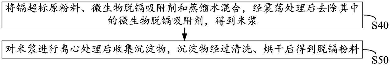 Preparation method of microbial cadmium removal absorbent and application of absorbent in cadmium removal of powder food