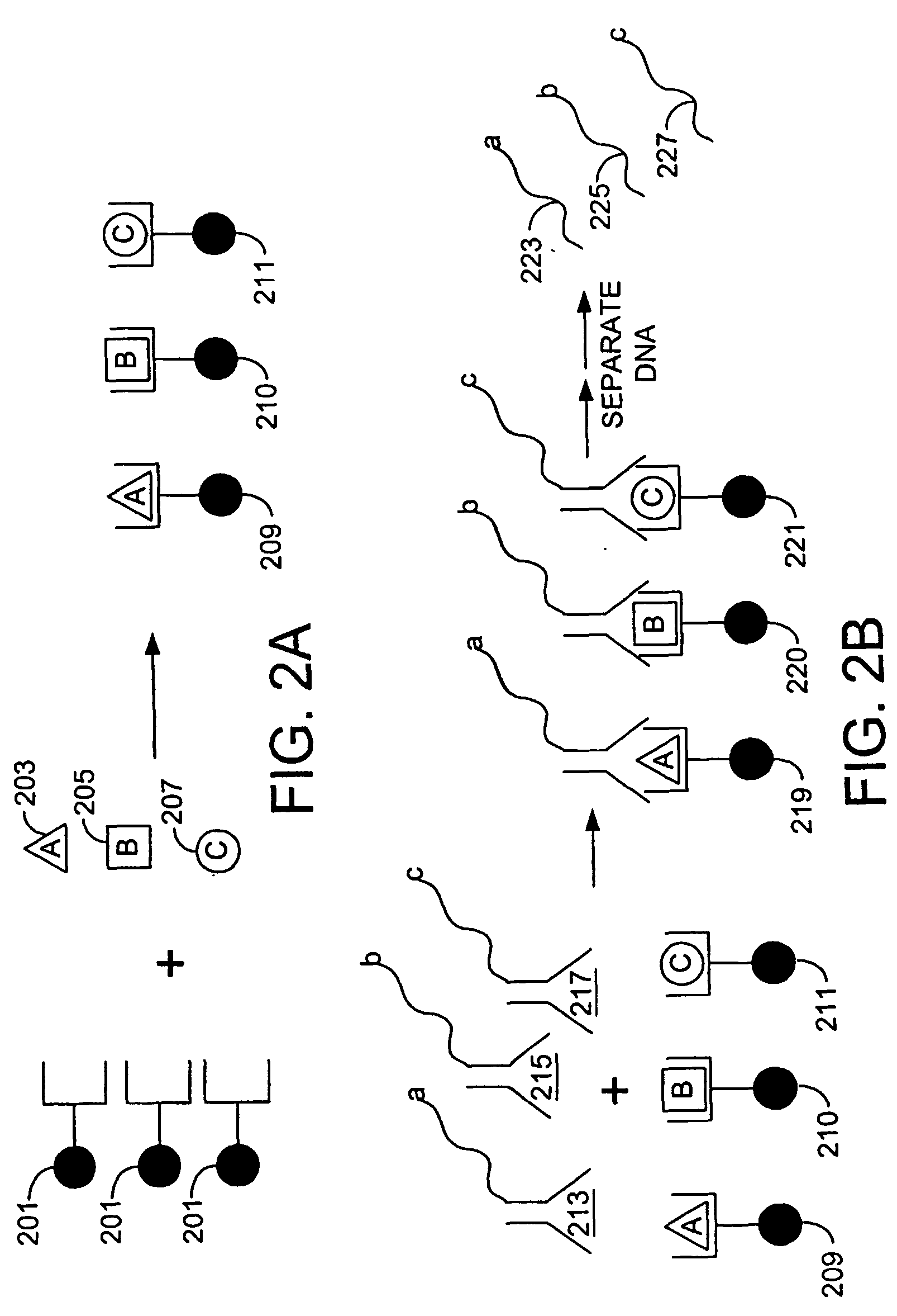 Array systems and methods