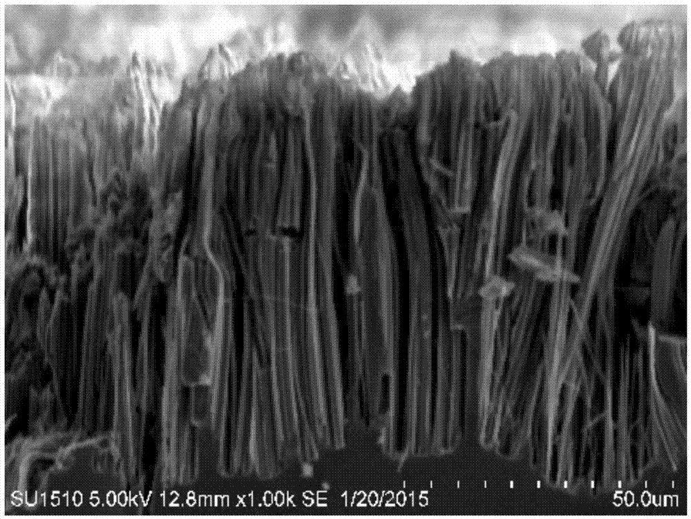 Method for preparing silicon nanostructure material under alternative electric fields