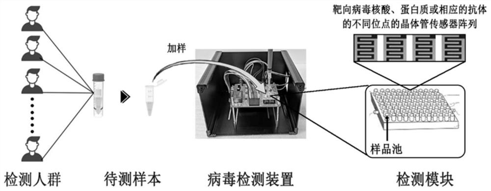 Coronavirus and influenza virus detection device and method