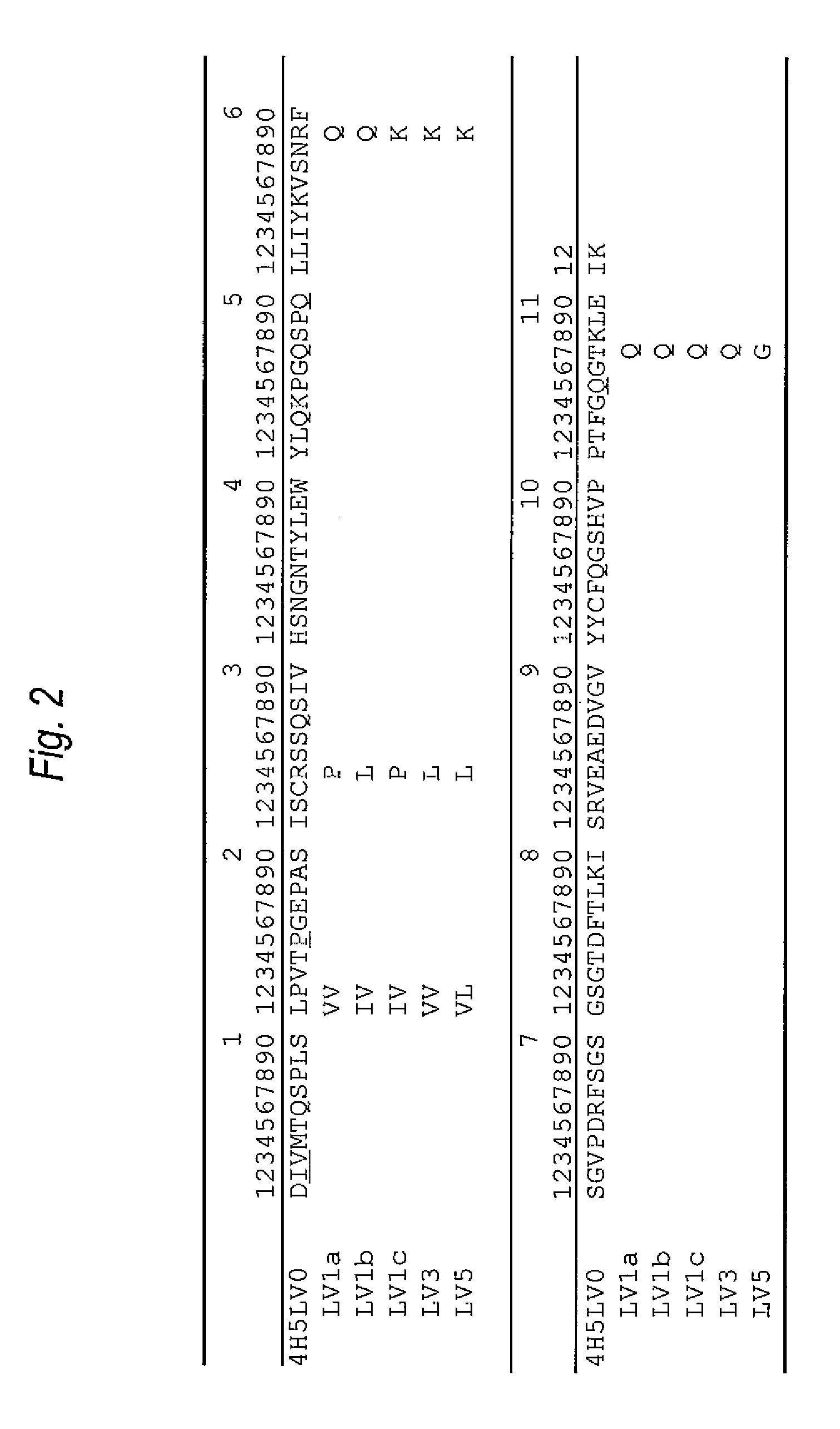 Anti-abeta oligomer humanized antibody