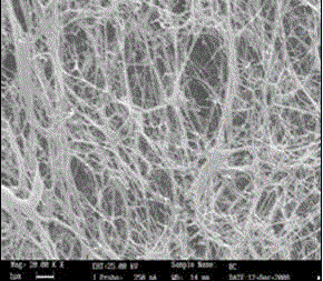 Composite electromagnetic shielding material and method for manufacturing same