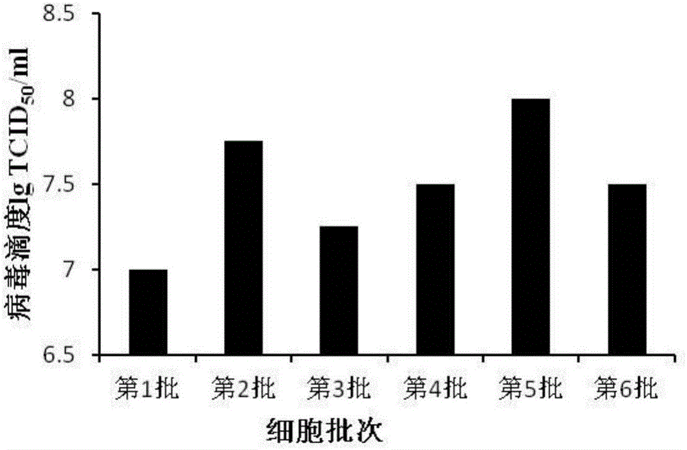 Human enterovirus strain and application thereof