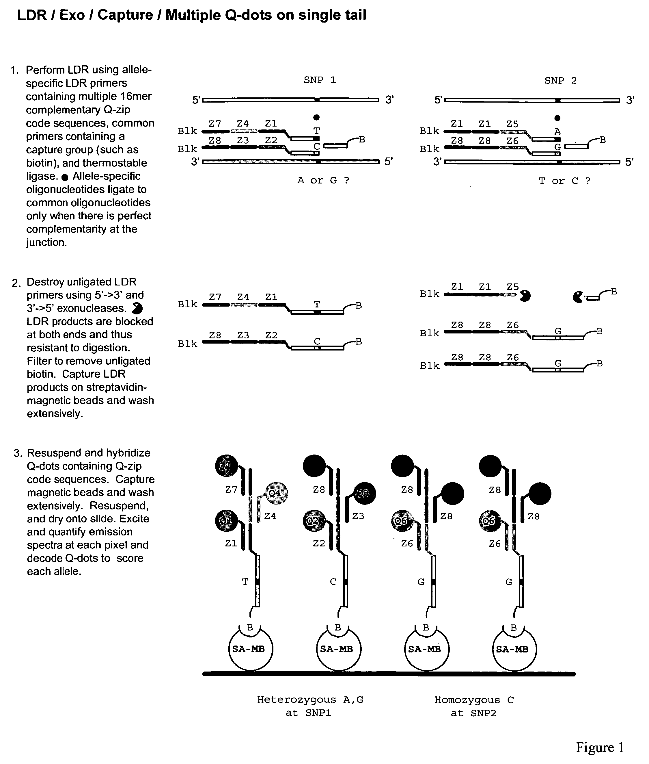 Methods for identifying target nucleic acid molecules