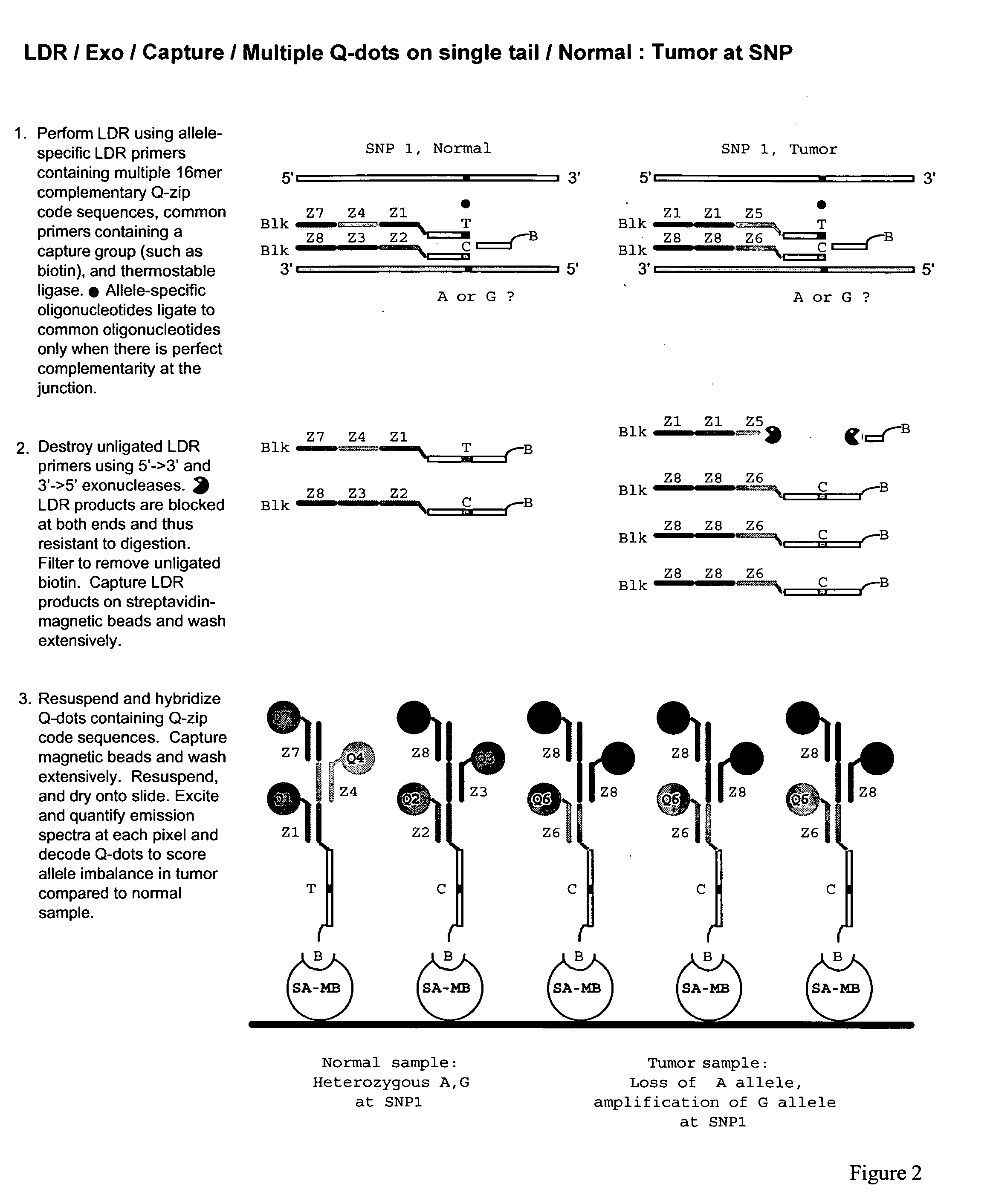 Methods for identifying target nucleic acid molecules