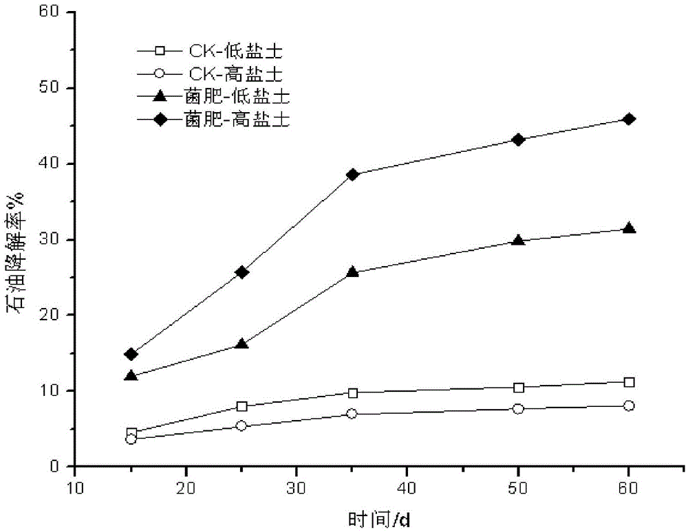 Solid bacterial fertilizer for remedying petroleum polluted saline alkali soil and preparation method of solid bacterial fertilizer