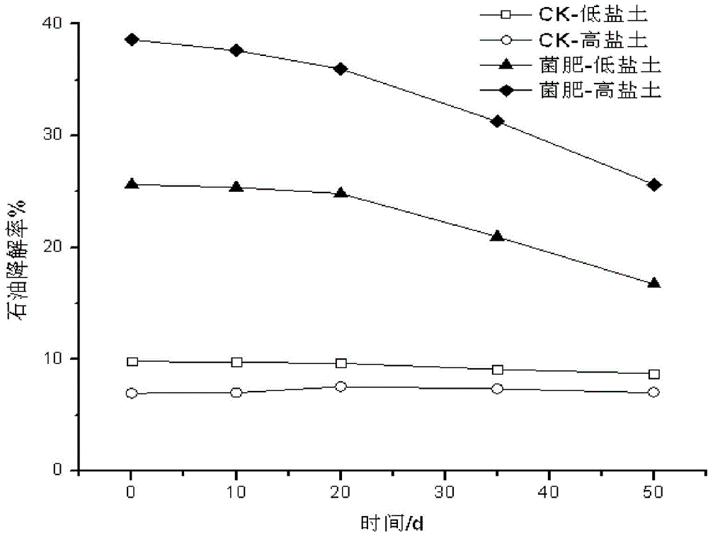 Solid bacterial fertilizer for remedying petroleum polluted saline alkali soil and preparation method of solid bacterial fertilizer