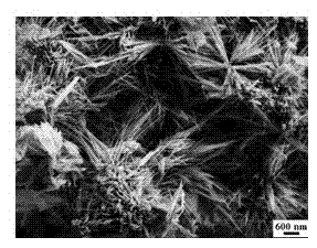 Chrysanthemum-shaped cobaltosic oxide (Co3O4) material and preparation method and application thereof