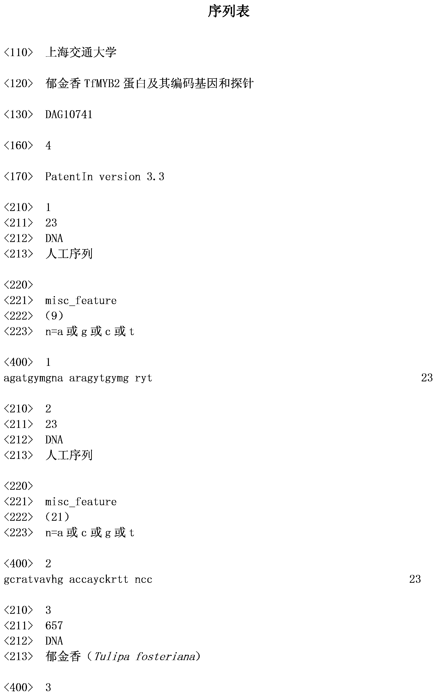 Tulip TfMYB2 protein and coding gene thereof as well as probe