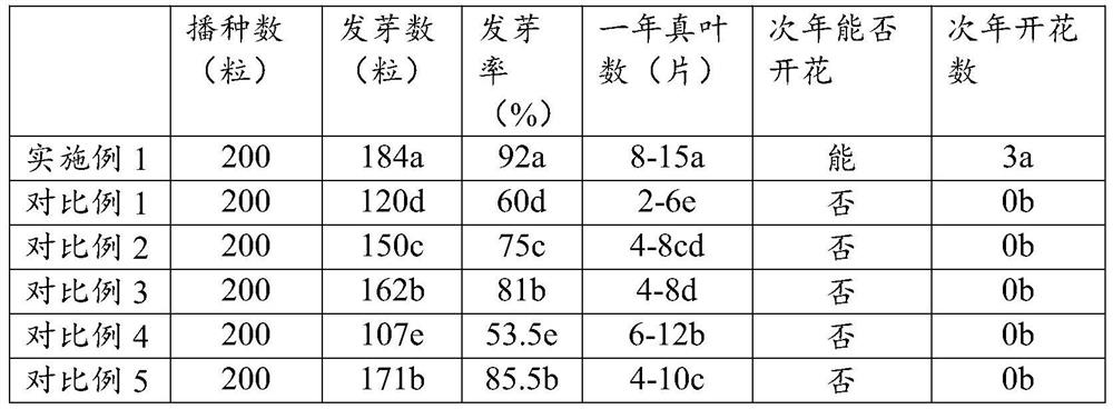 Seeding and cultivation medium for clematis acerifolia