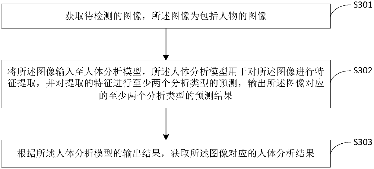 Method and device for analyzing human body in image and electronic equipment