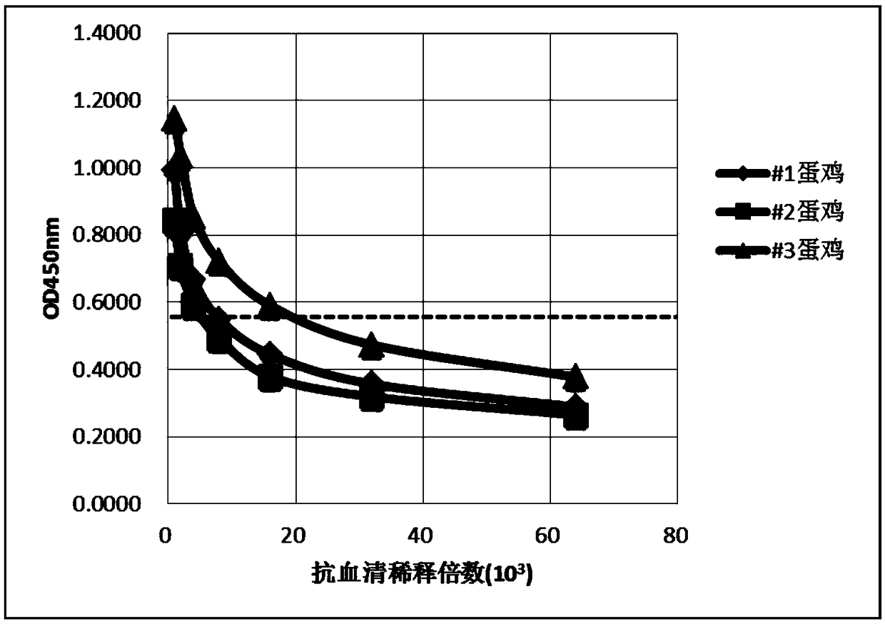 Anti-helicobacter pylori egg yolk antibody as well as preparation method and application thereof