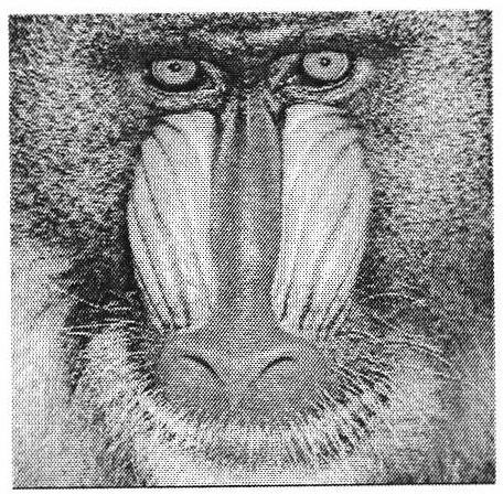 Printing anti-counterfeiting watermarking algorithm based on norm and norm mean comparison