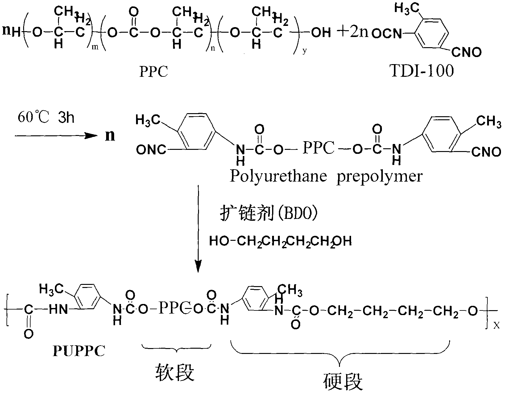 Preparation of thermoplastic polyurethane elastomer with polypropylene carbonate as soft segment